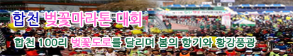 합천 벚꽃 마라톤대회 기사 바로가기